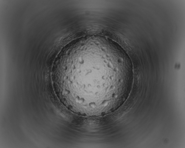 X0000091180745200708231528