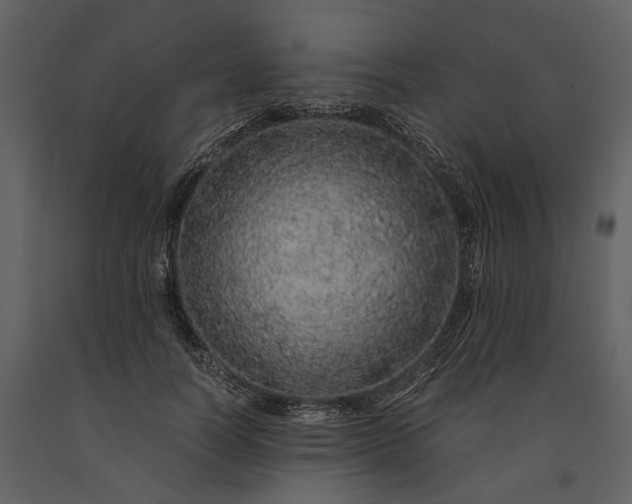 X0000091180746200708231528
