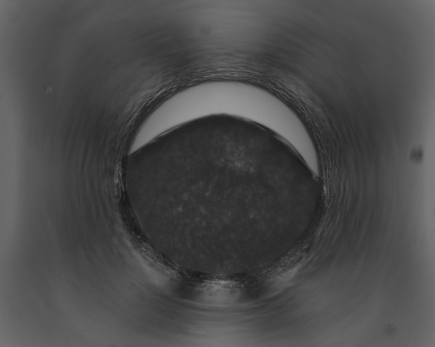 X0000091180748200708231528
