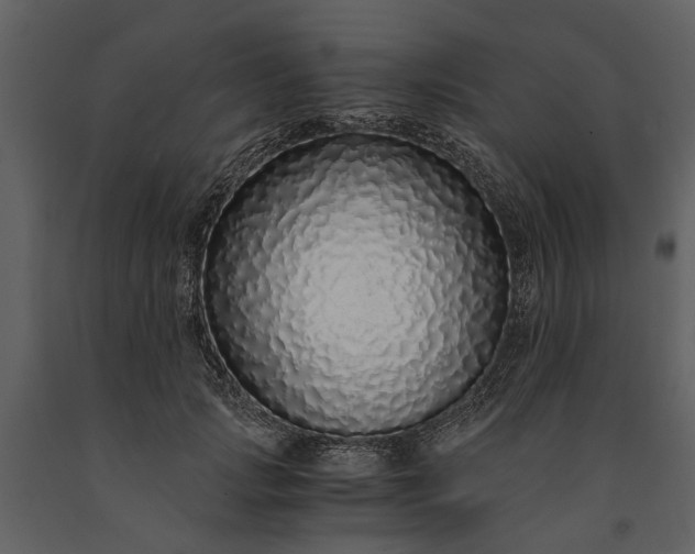 X0000091180749200708231528