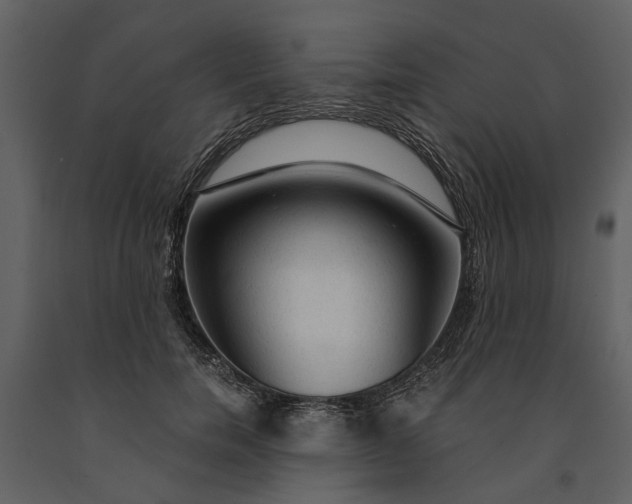 X0000091180750200708231528
