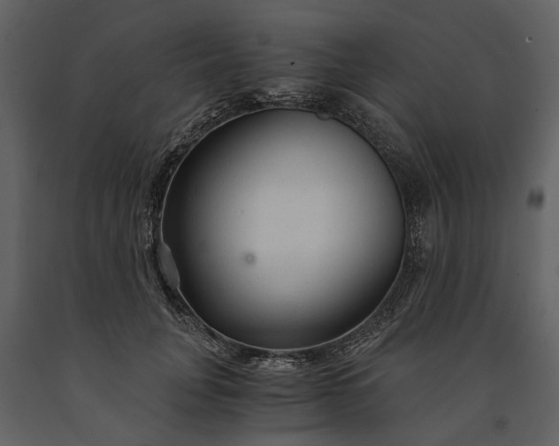 X0000091180751200708231528