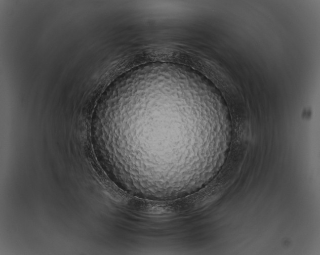 X0000091180753200708231528