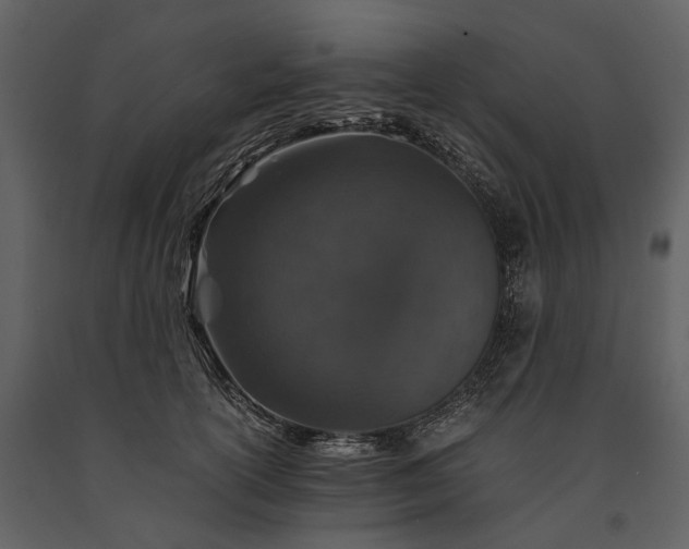 X0000091180754200708231528