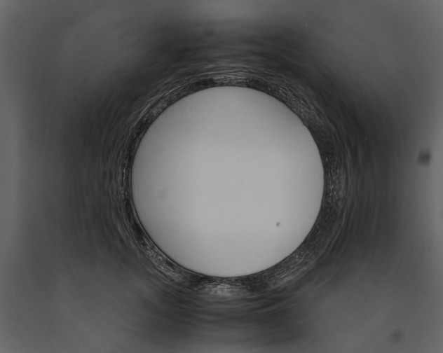 X0000091180755200708231528