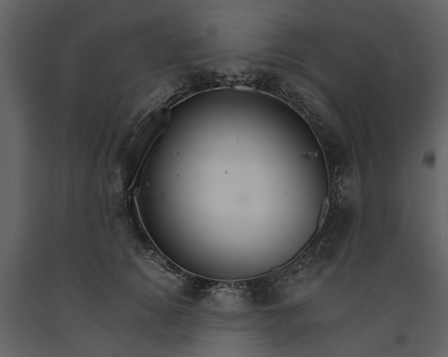 X0000091180756200708231528