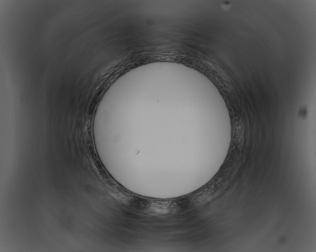 X0000091180757200708231529
