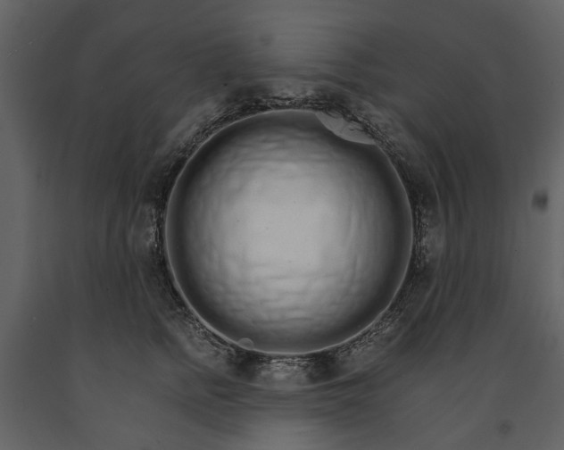 X0000091180758200708231529