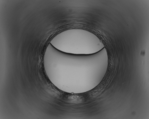 X0000091180759200708231529