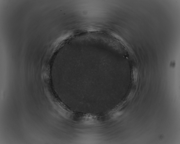 X0000091180760200708231529
