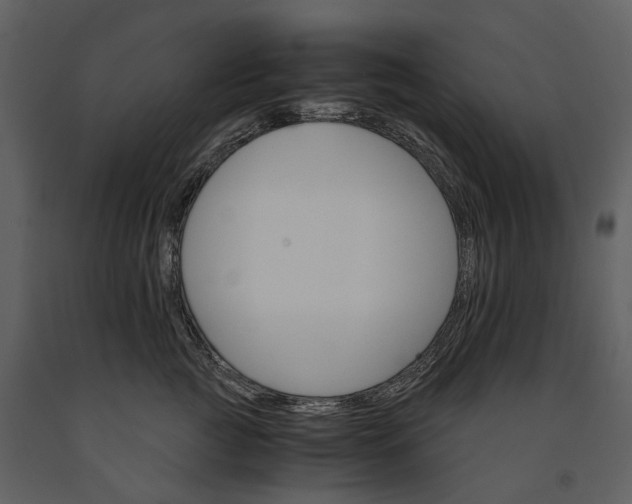 X0000091180761200708231529