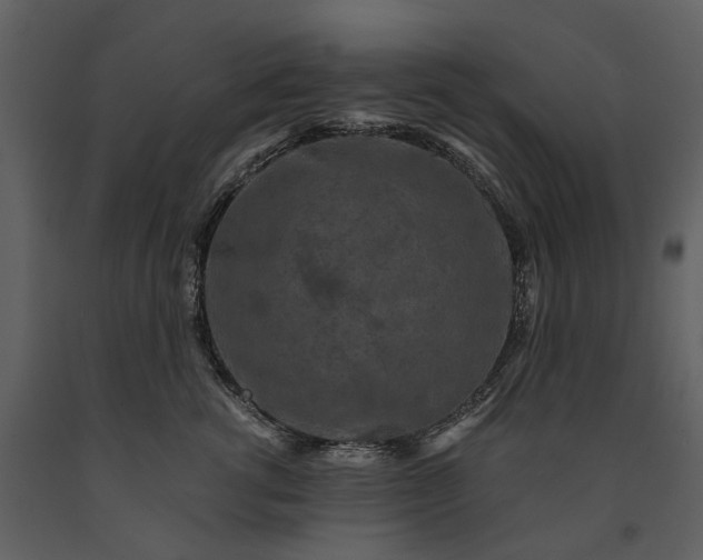 X0000091180762200708231529