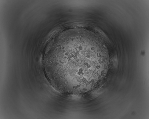 X0000091180765200708231529