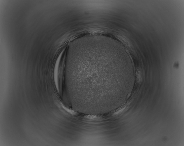 X0000091180766200708231529