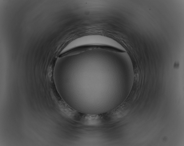 X0000091180767200708231529