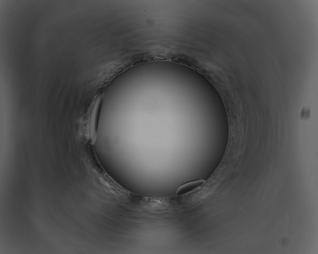 X0000091180768200708231529