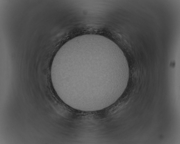 X0000091180769200708231528