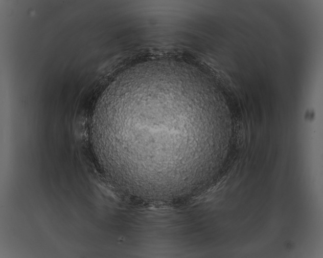 X0000091180770200708231528
