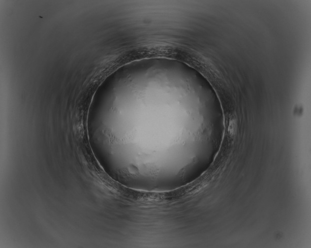 X0000091180771200708231528