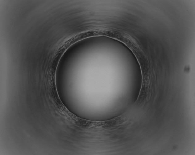 X0000091180773200708231528