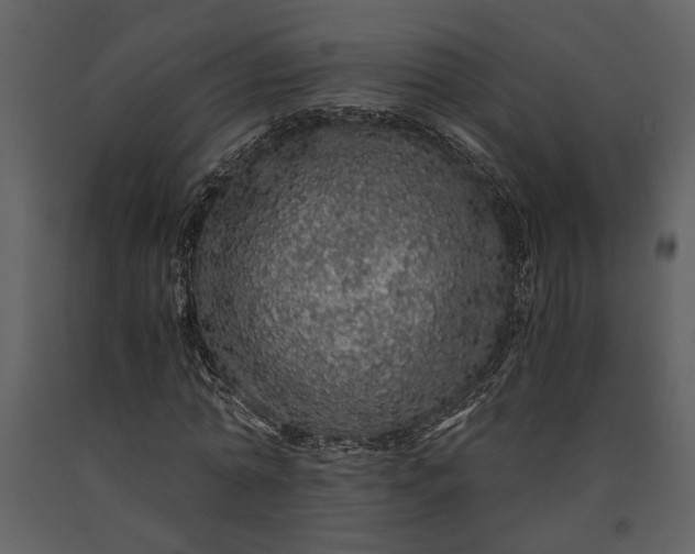 X0000091180774200708231528