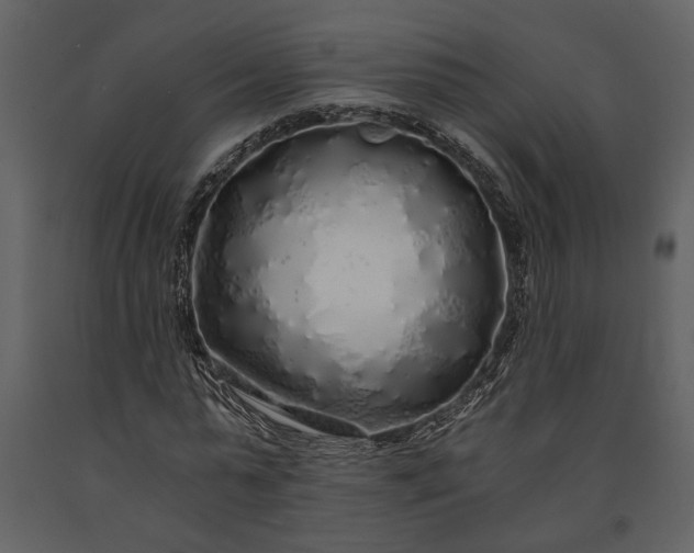 X0000091180775200708231528