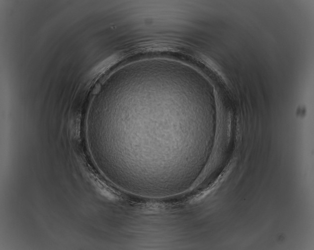 X0000091180777200708231528