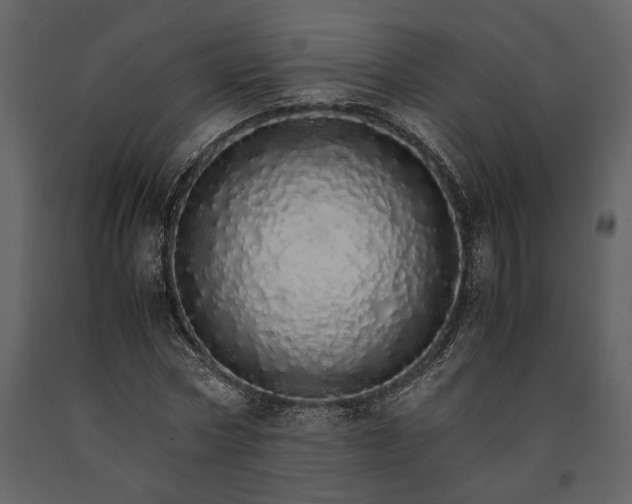 X0000091180778200708231528