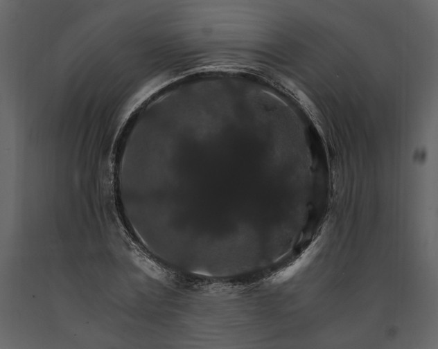 X0000091180779200708231528