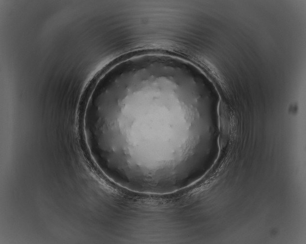X0000091180780200708231528