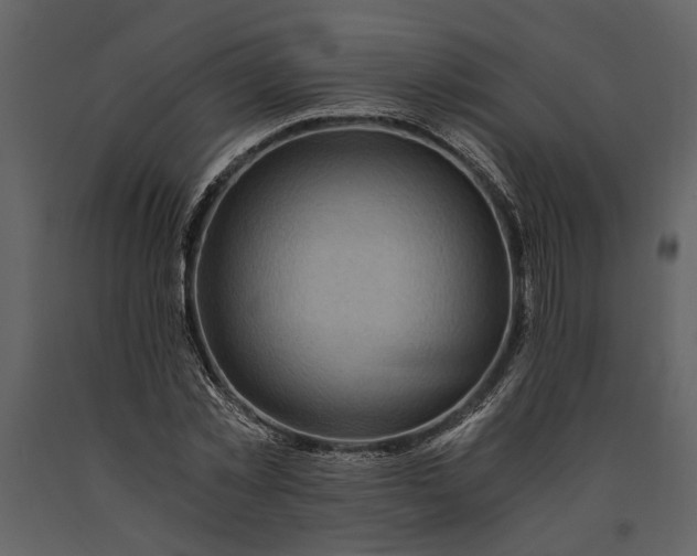 X0000091180781200708231528