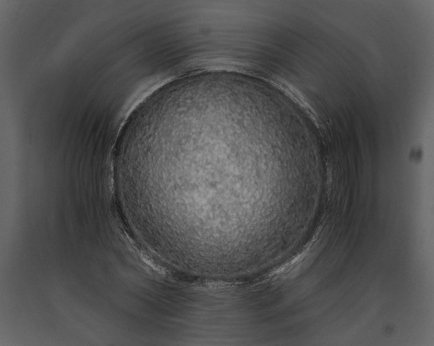 X0000091180782200708231528