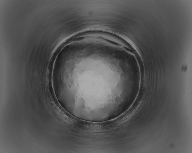 X0000091180783200708231528