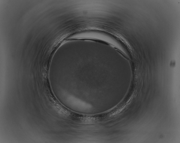 X0000091180785200708231528