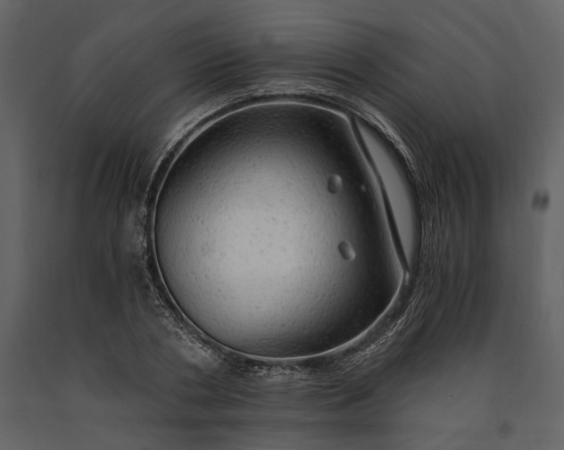X0000091180786200708231528