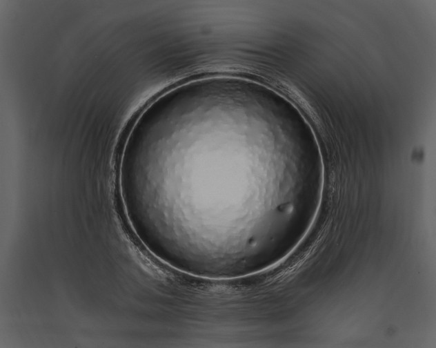 X0000091180787200708231528
