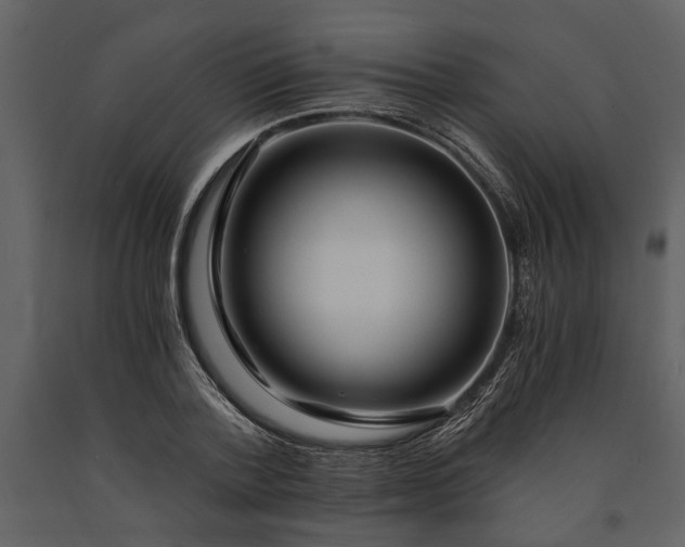 X0000091180788200708231528