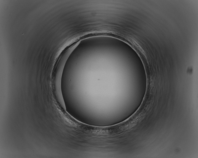 X0000091180789200708231528