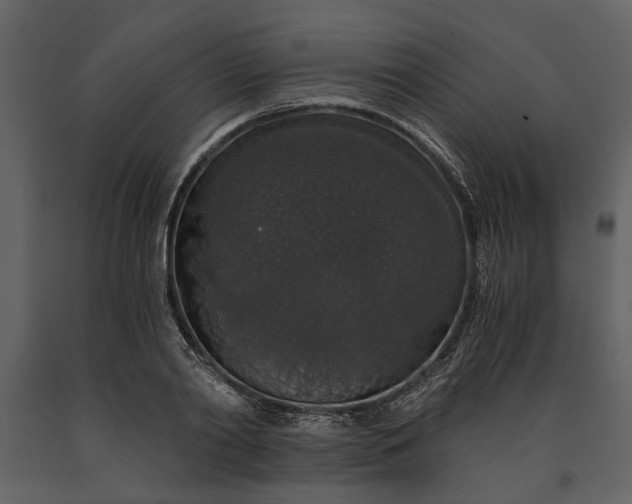 X0000091180790200708231528