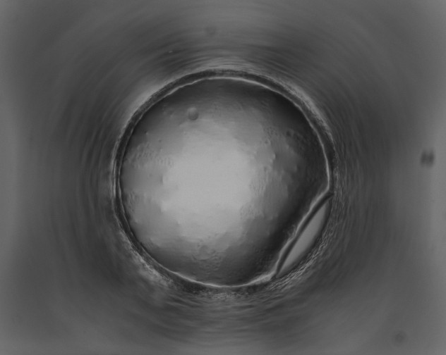 X0000091180791200708231528