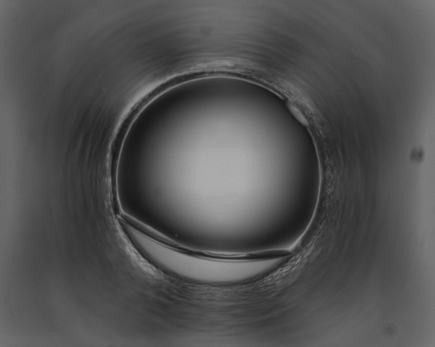 X0000091180792200708231528