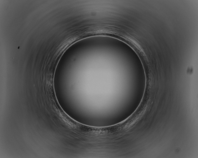 X0000091180793200708231527
