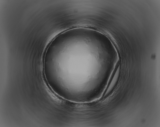 X0000091180795200708231527