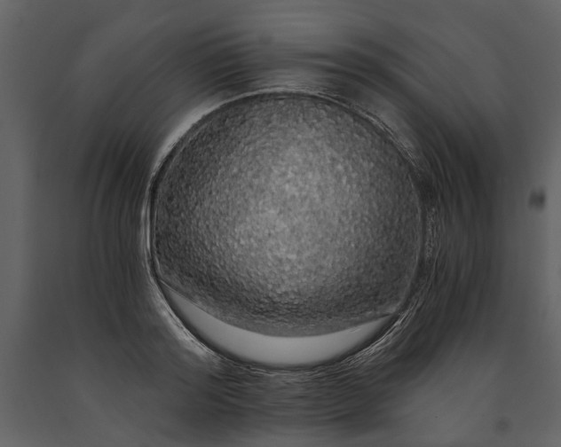 X0000091180796200708231527