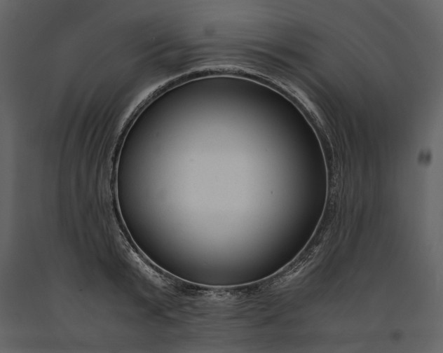 X0000091180799200708231527