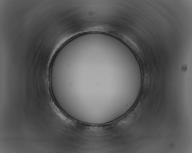 X0000091180800200708231527