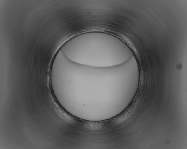 X0000091180802200708231527
