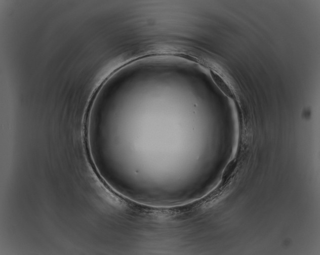 X0000091180803200708231527