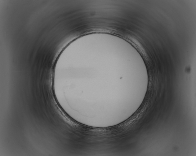 X0000091180804200708231527