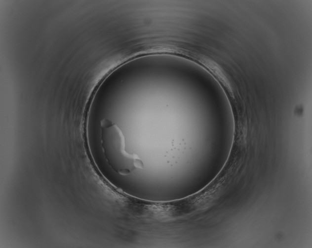 X0000091180805200708231527